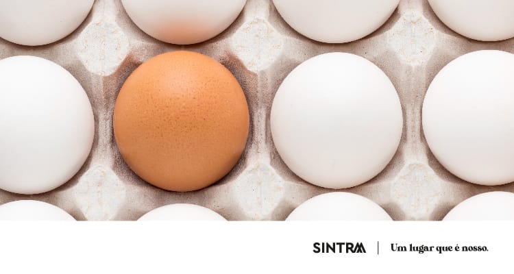 Conto/Ateliê «O Ovo Bom», de Jory John