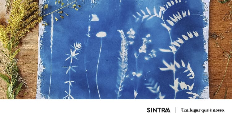 Há Literatura, Ciência e Arte no Museu – Comemoração do Dia Mundial da Árvore