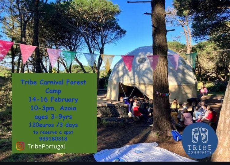 Tribe Community – Tribe Carnival Forest Camp