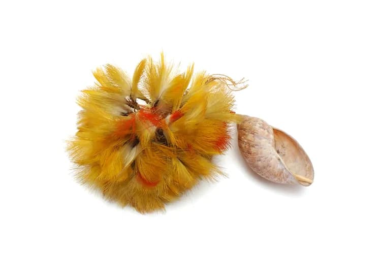 Un objet, un son, une histoire – À la découverte de l’Amazonie