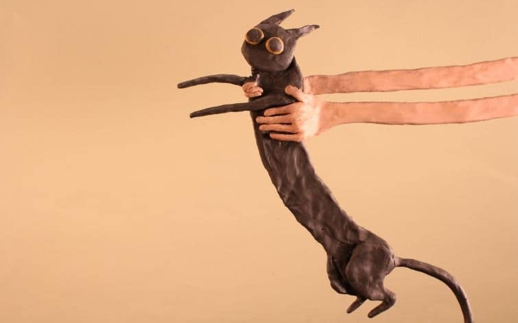 Ampla – Sessão de curtas-metragens