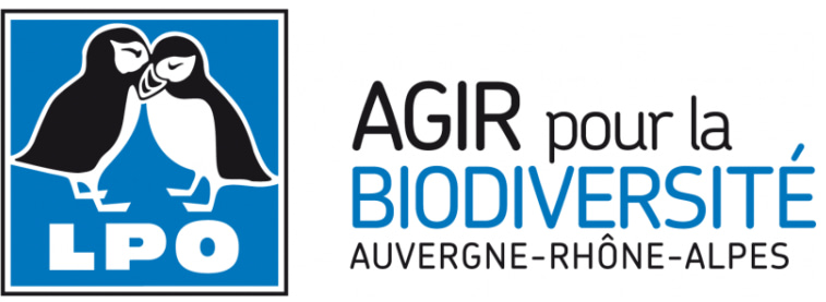 Atelier Cluedo des rapaces