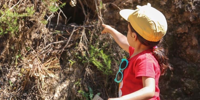 Desafio «Descubram os ovos dos animais da Quinta do Pisão!»