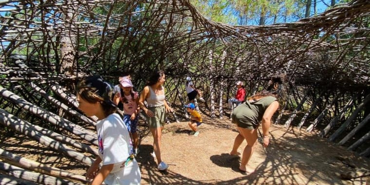 Caça às cenouras escondidas e volta de burro!