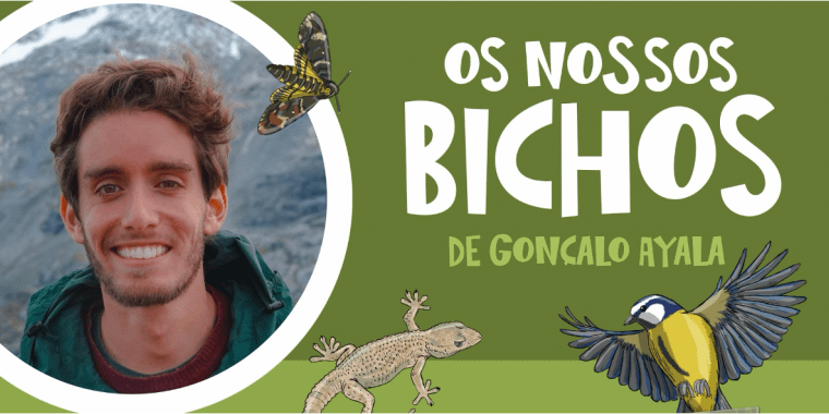 Apresentação «Os Nossos Bichos»