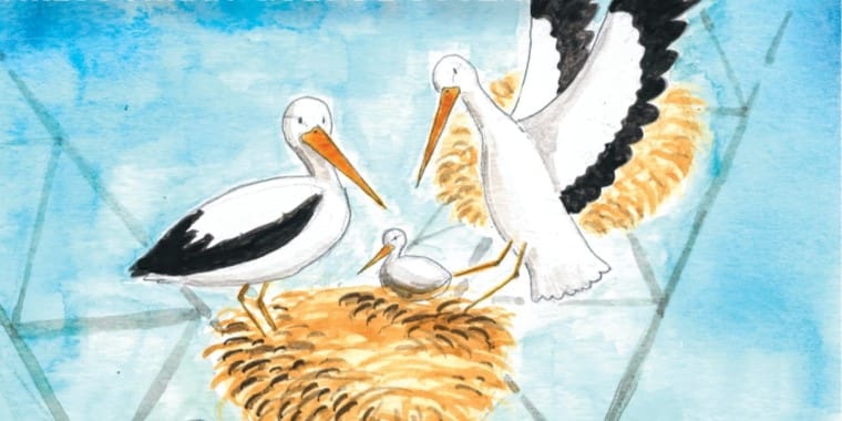 Apresentação do livro «A Família Bicolongo» de Margarete Gouvea e Carlos Hiran Goes de Souza, e ilustrações de Rodrigo Estiveira