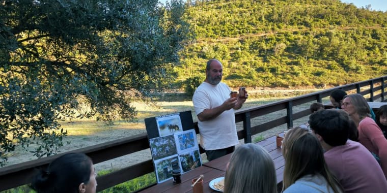 As Abelhas, a Colmeia, o Mel – Oficina e prova de mel