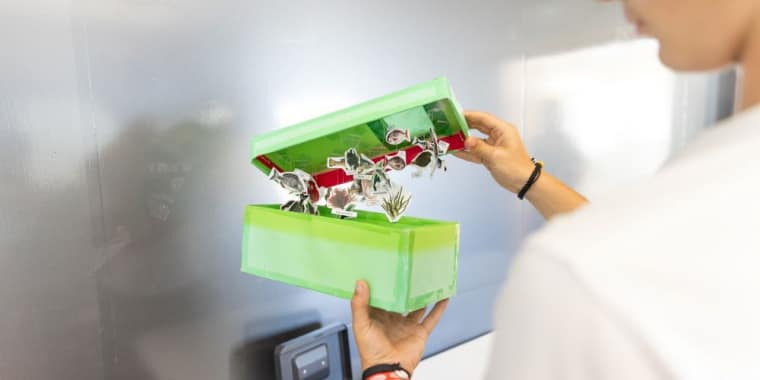 Atelier «Ecossistemas do Mar Profundo»