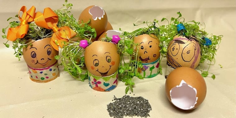 Atelier «Slime de chia e boneco Relvinhas»