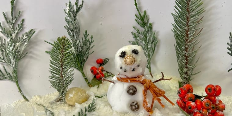 Atelier «Venha fazer o seu Boneco de Neve»