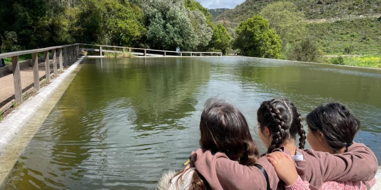 Bingo da Natureza – Edição Outono