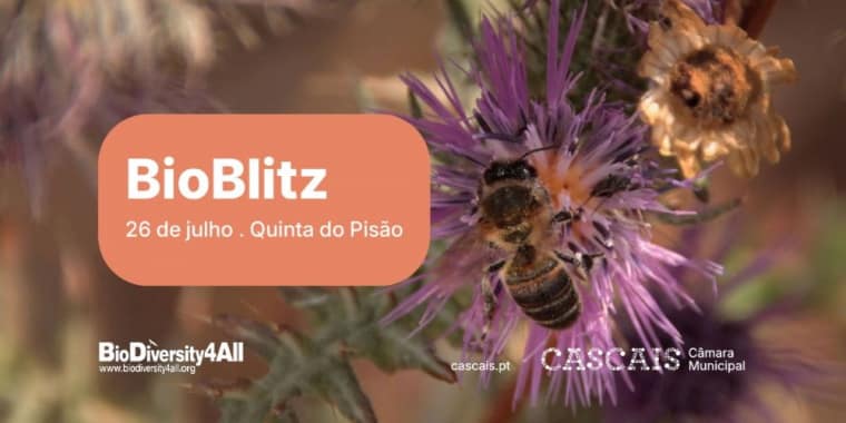 BioBlitz – Quinta do Pisão