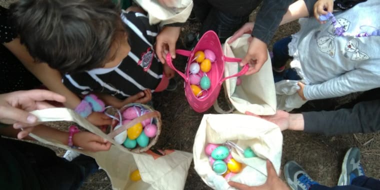 CaƧa aos ovos da PƔscoa