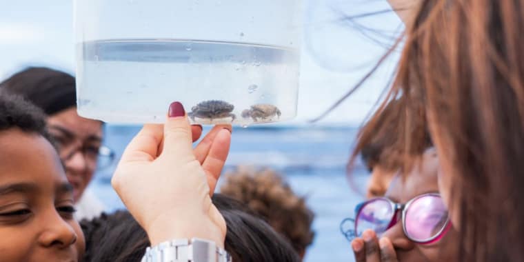 Caminhada na Área Marinha Protegida das Avencas