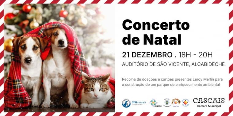 Concerto Natal Corações em Sintonia em prol dos nossos amigos de quatro patas
