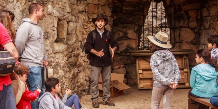 Construção de hotel para Insetos