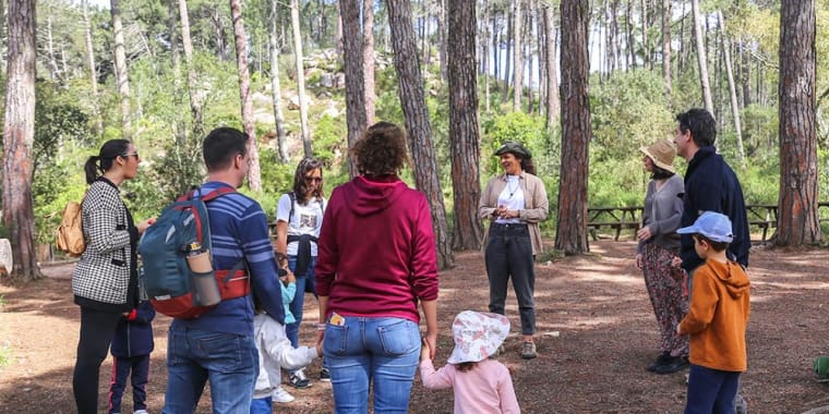 FamĂlias na Floresta