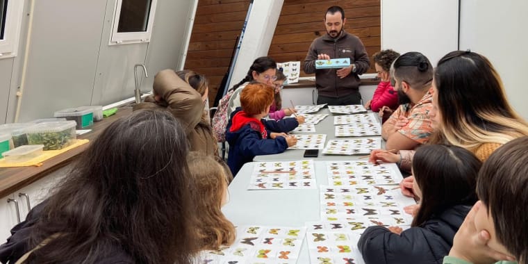 Há Pokémons no Borboletário!