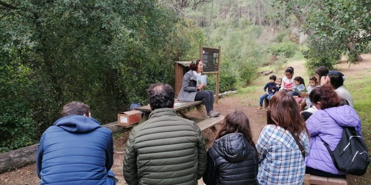 Hora do conto – «O musgo Tobias»