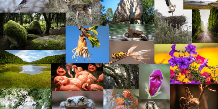 Iniciação de Fotografia para Crianças