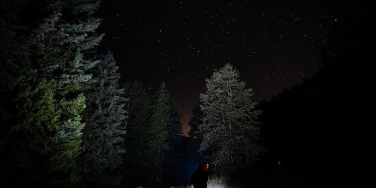 Nem tudo o que reflete é ouro