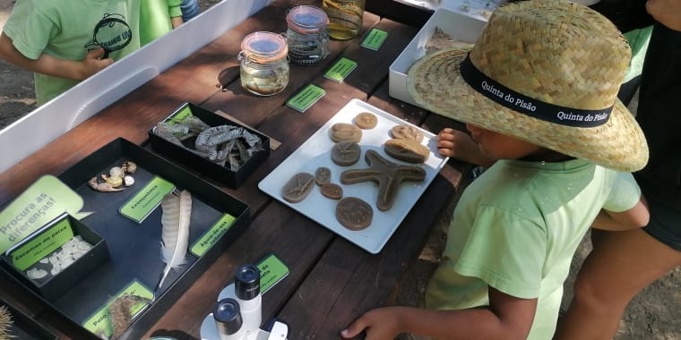 Oficinas de Natureza – Dia da Conservação da Natureza