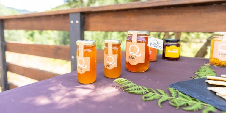 Passeio de Trator com Prova de Mel – Uma Viagem Doce pela Quinta do Pisão!