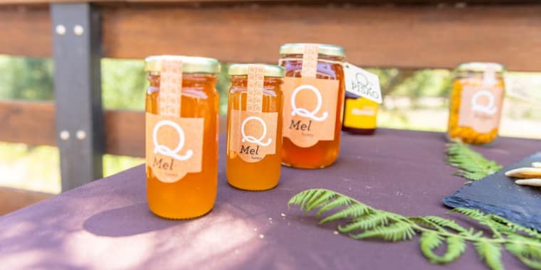 Passeio de trator com prova de mel