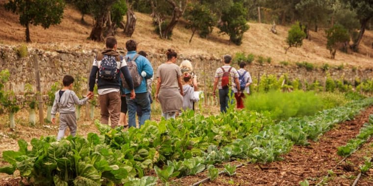 Um Dia Quero Ser – Hortelão