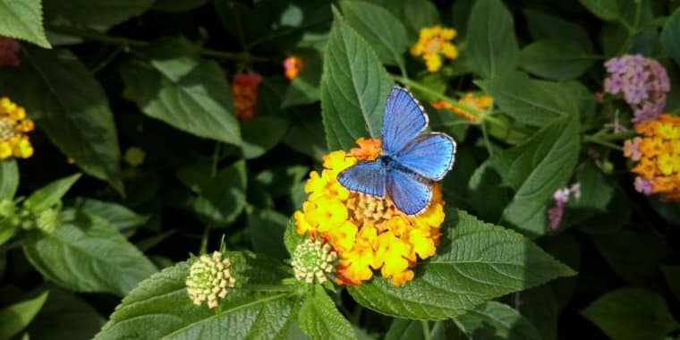 Uma Questão de Cores