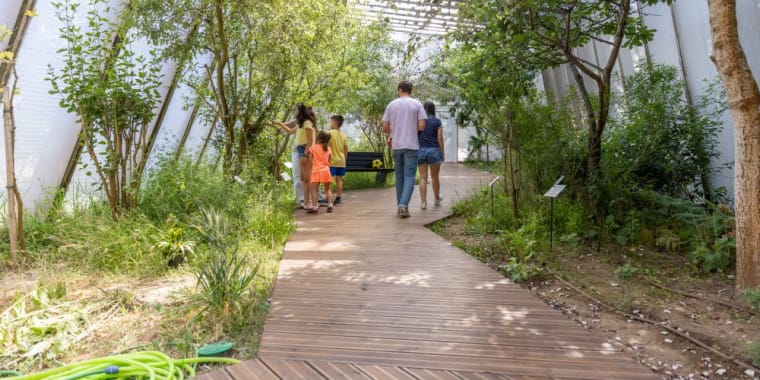 Visita ao Borboletário e Hora do Conto