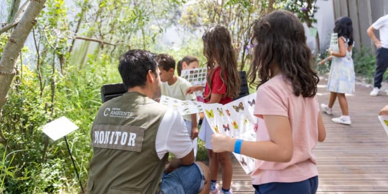 Visita guiada ao Borboletário
