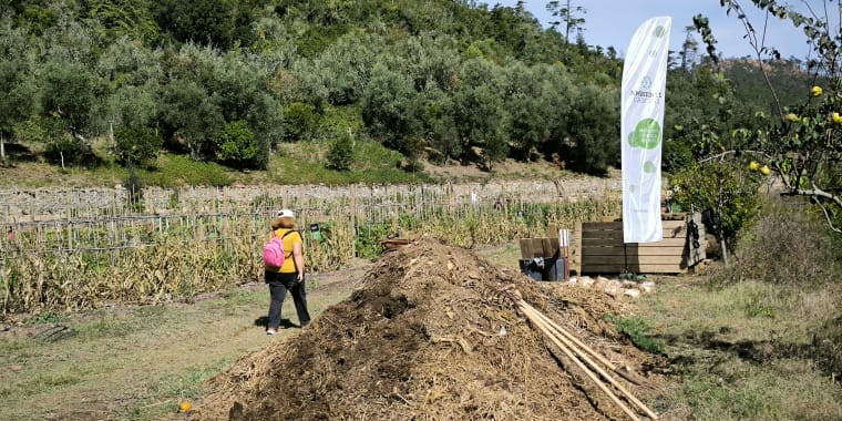 Workshop de Compostagem