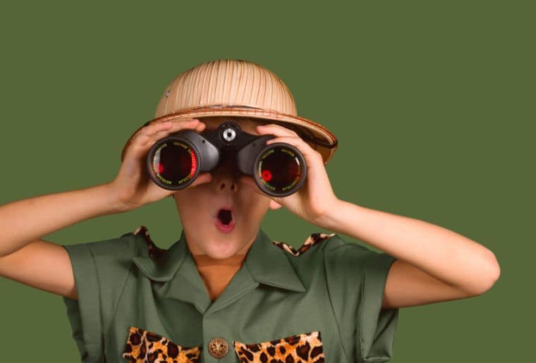 Dino Land Experience