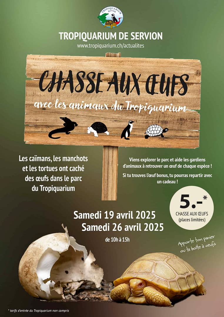 Chasse aux Ćufs avec les animaux du Tropiquarium