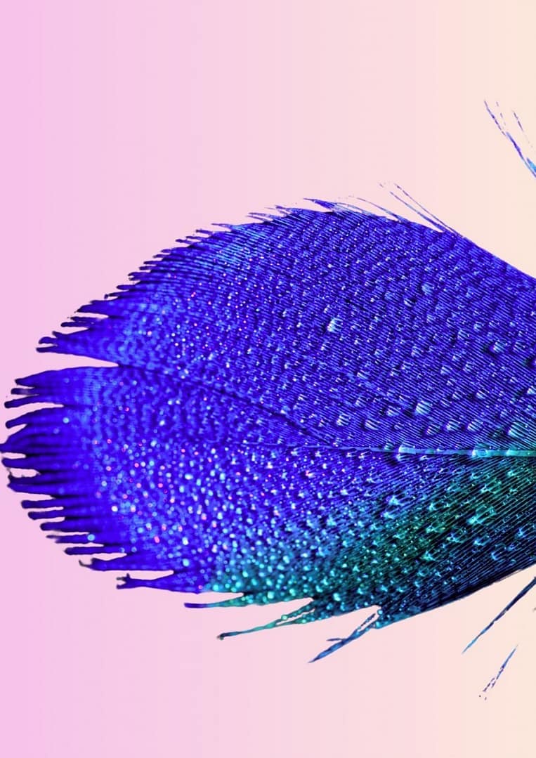 Atelier d'écriture – Des lettres qui créent du lien