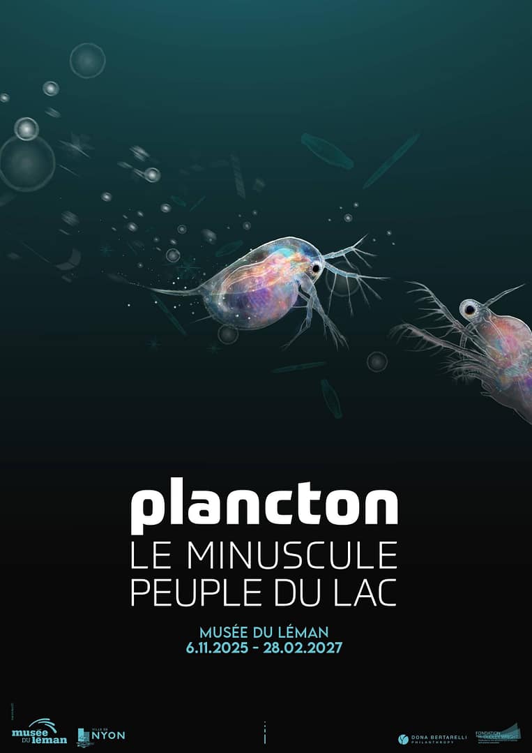 Plancton, le minuscule peuple du lac
