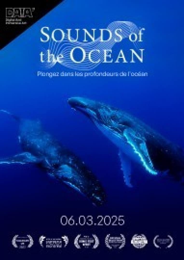 Sounds of the Ocean – Concert immersif