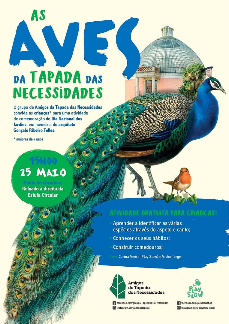 As Aves da Tapada das Necessidades