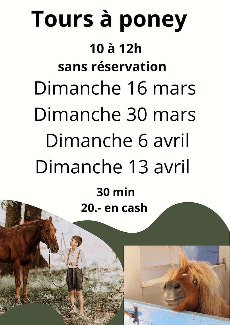 Tours à poney
