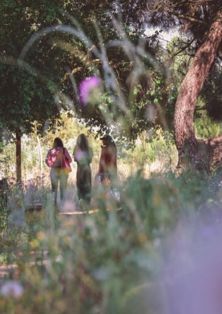 Caça ao Tesouro no Parque Ecológico da Várzea