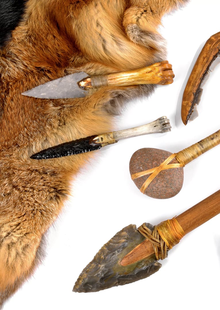 Expérience préhistorique