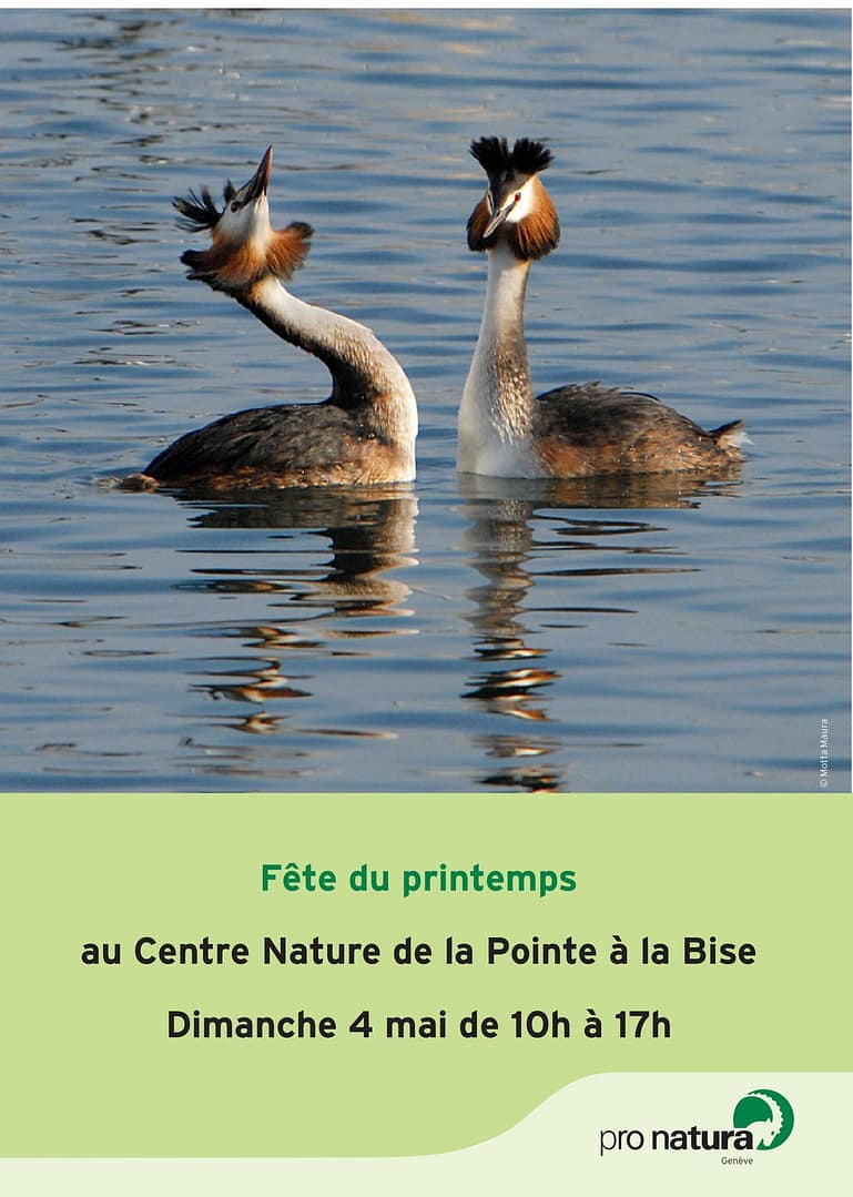 FĂŞte du printemps