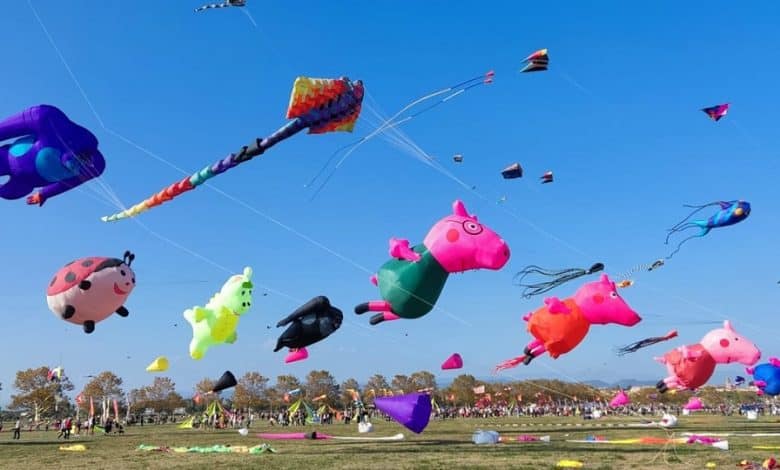 20º Festival Internacional de Papagaios de Alcochete