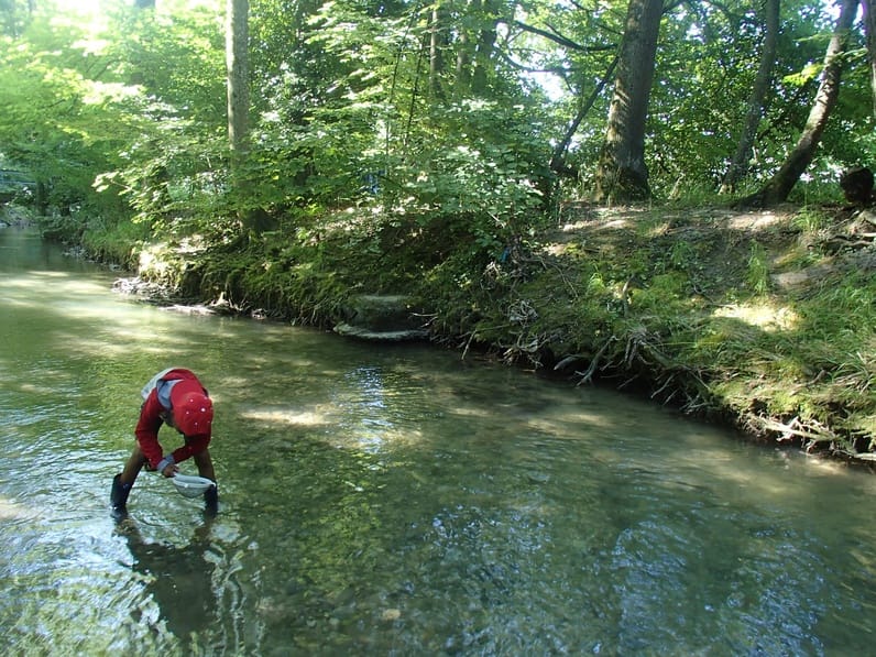 14e édition Fête de la Nature – L'eau, source de vie