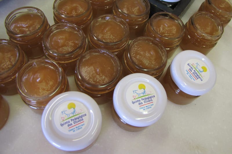 Aromas e Sabores – Compota de maçã