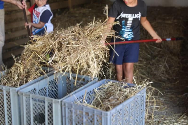 A vida na Quinta – Fazeres e afazeres da Quinta!