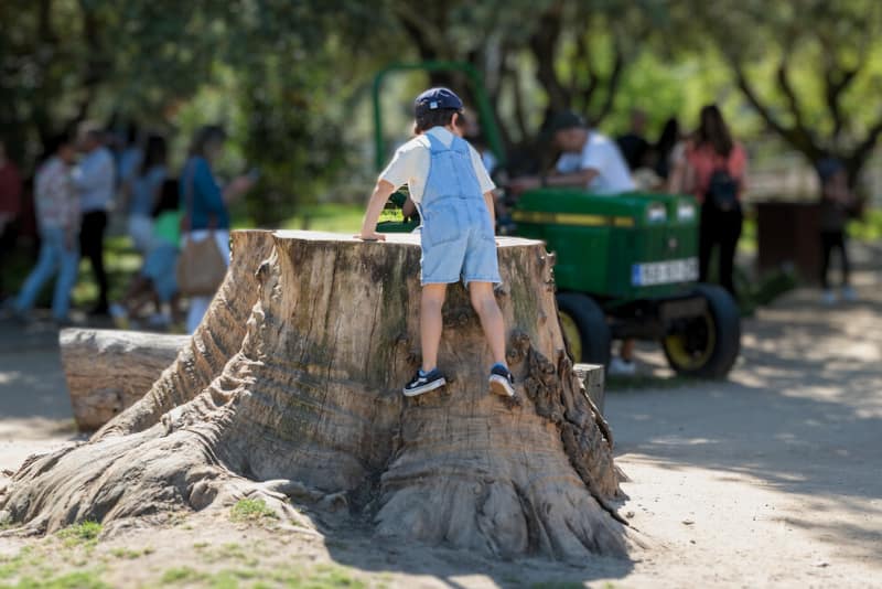 Dia Mundial da Criança – A Quinta em festa!
