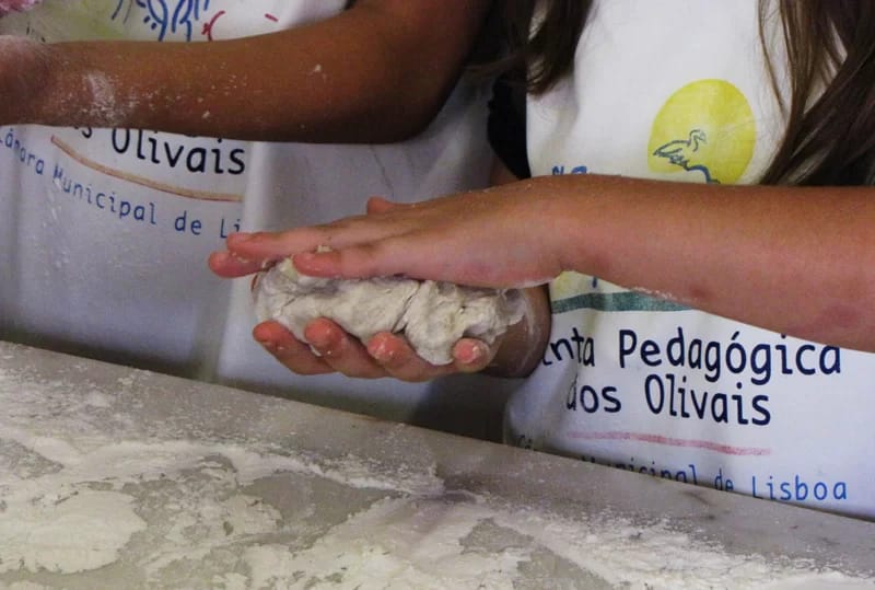 O ciclo do pão – Do grão ao pão... no forno de lenha!