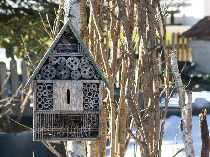 Atelier parent enfant «Favoriser la biodiversité au jardin»